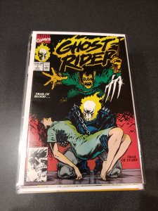 All American Comics (IT) #25 