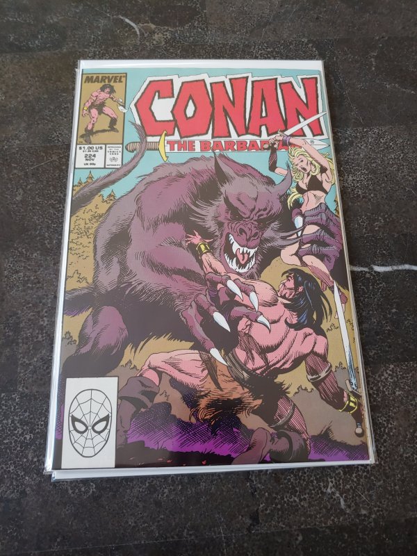 Conan the Barbarian #224 (1989)