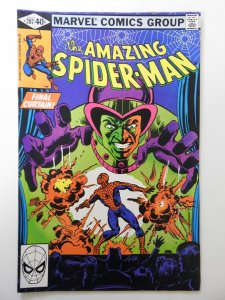 The Amazing Spider-Man #207 (1980) FN/VF Condition!
