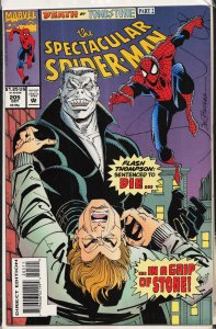 The Spectacular Spider-Man #205 (1993) Spider-Man