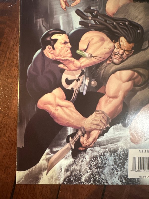 Punisher War Journal #15 (2008)