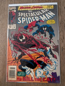 The Spectacular Spider-Man #201 (1993) Spider-Man