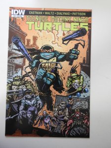 Teenage Mutant Ninja Turtles #53 Cover C (2015)