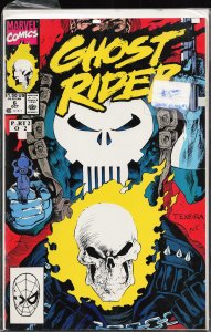Ghost Rider #6 (1990) Ghost Rider