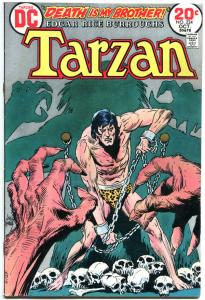 TARZAN of the APES #224, FN, Edgar Rice Burroughs, Joe Kubert,1972,more in store