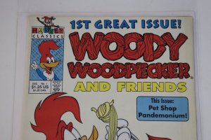 Woody Woodpecker And Friends #1  Harvey Comics 1991