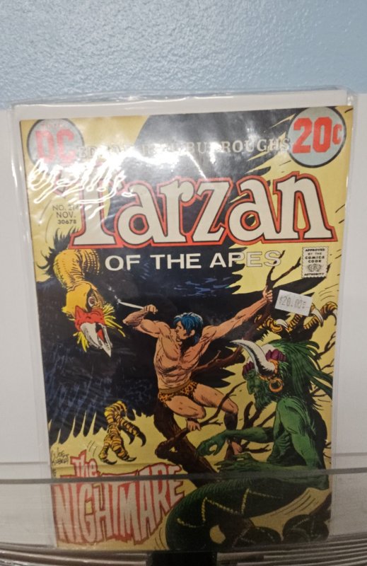 Edgar Rice Burroughs' Tarzan #214 (1972)