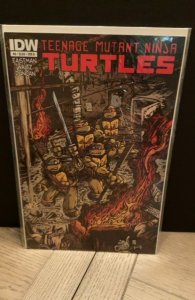 Teenage Mutant Ninja Turtles #8 Cover B (2012)