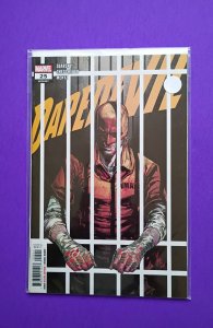 Daredevil #25 (2021)