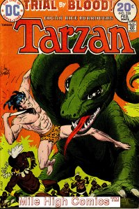 TARZAN (1972 Series)  (DC) #228 Very Fine Comics Book 