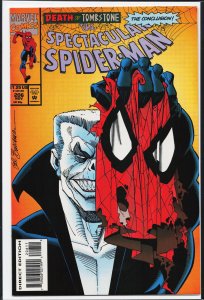 The Spectacular Spider-Man #206 (1993) Spider-Man