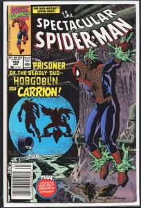 The Spectacular Spider-Man #163 (1990) Spider-Man