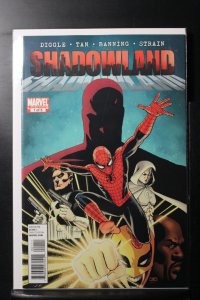 Shadowland #1 (2010)