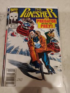 The Punisher #49 (1991)