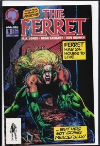 The Ferret #3 Direct Edition (1993) The Ferret