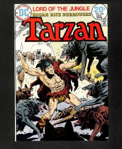 Tarzan (1972) #226