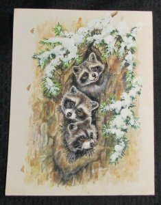 CHRISTMAS Three Young Raccoons in First Snow 10x13.5 Greeting Card Art #875