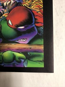Teenage Mutant Ninja Turtle (1986) # 9 (NM) | 1st Print