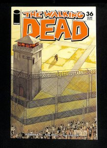 Walking Dead #36