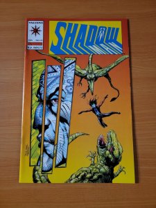 Shadowman #21 ~ NEAR MINT NM ~ 1994 Valiant Comics