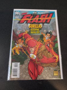 The Flash #242 (2008)