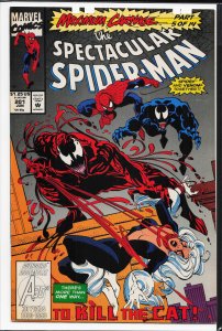 The Spectacular Spider-Man #201 (1993) Spider-Man