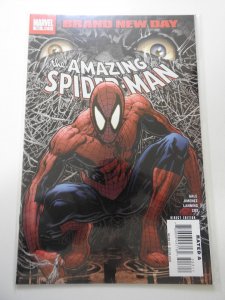 The Amazing Spider-Man #553 (2008)