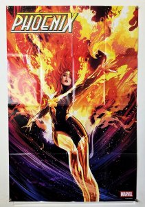 Phoenix #11 Werneck Marvel 2025 Folded Promo Poster 24x36 New [FP707]