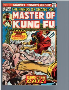 Master of Kung Fu #38 (1976)