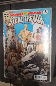 Wonder Woman: Steve Trevor Special Variant Cover (2017)