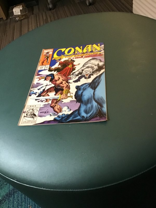 Conan the Barbarian #258 (1992) The Savage Homecoming NM- High-Grade Wow!