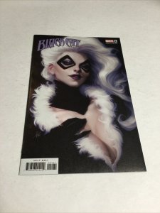Black Cat 1 Art Germ Variant Nm Near Mint Marvel Comics