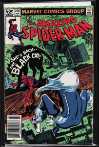 The Amazing Spider-Man #226 (1982) Spider-Man