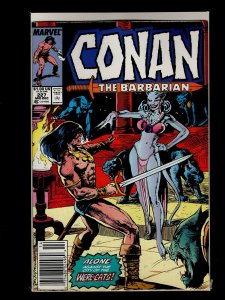 Conan the Barbarian #221,222,223,224,225,226,227,228,229,230 (1989)
