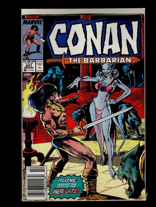 Conan the Barbarian #221,222,223,224,225,226,227,228,229,230 (1989)