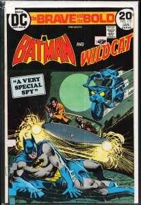 The Brave and the Bold #110 (1974) Wildcat