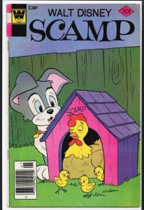 Scamp #36 (1977)