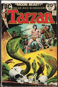 Edgar Rice Burroughs' Tarzan #225 (1973)