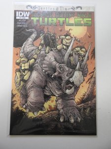 Teenage Mutant Ninja Turtles: Turtles In Time #1 (2014)