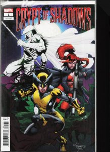 Crypt of Shadows Lubera Cover (2022) [Key Issue]