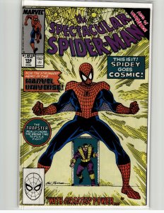 The Spectacular Spider-Man #158 (1989) Spider-Man [Key Issue]
