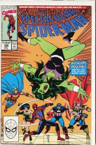 The Spectacular Spider-Man #168 (1990) Spider-Man