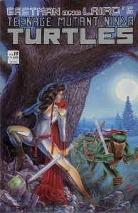 Teenage Mutant Ninja Turtles (1st Series) #13 FN ; Mirage | Eastman Laird