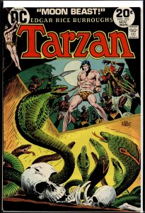 Edgar Rice Burroughs' Tarzan #225 (1973)
