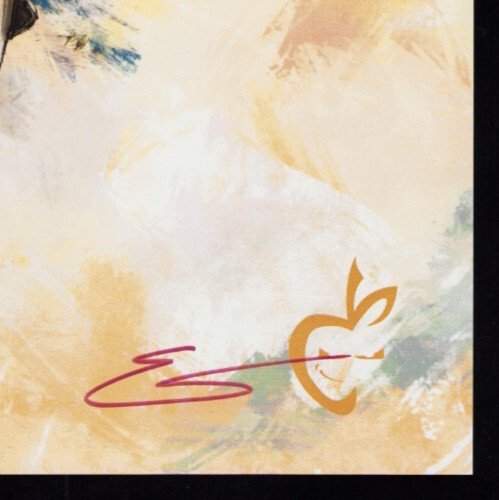 Wonder Woman 11 x 17 Art Print By Esteban Salinas signed