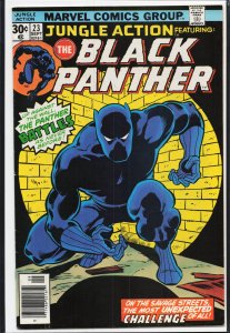 Jungle Action #23 (1976) Black Panther