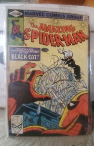 The Amazing Spider-Man #205 (1980)