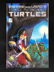 Teenage Mutant Ninja Turtles #13 (1988) 1st Appearance and Cover of Jhanna