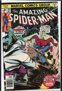 The Amazing Spider-Man #163 (1976) Spider-Man