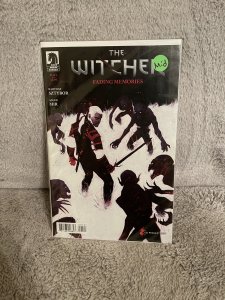 The Witcher : Fading Memories 1 Variant